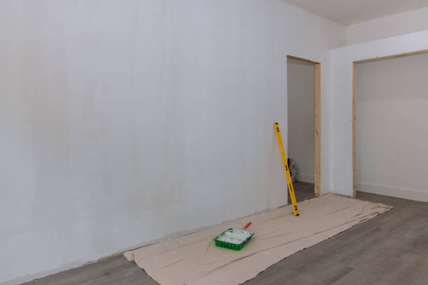 Professional Painting & Drywall Services in Meadows Place, TX